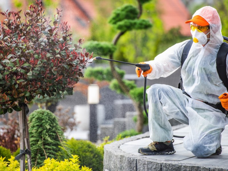 Alaplı Haşere İlaçlama